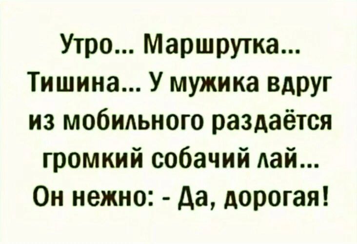 Утро Маршрутка Тишина У мужика вдруг из мобидьного раздаётся громкий собачий дай Он нежно да дорогая