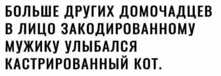 БОЛЬШЕ ДРУГИХ ДОМОЧАДЦЕВ В ЛИЦО ЗАКОДИРОВАННОМУ МУЖИКУ УПЫБАЛВЯ КАСТРИРОВАННЫЙ КОТ
