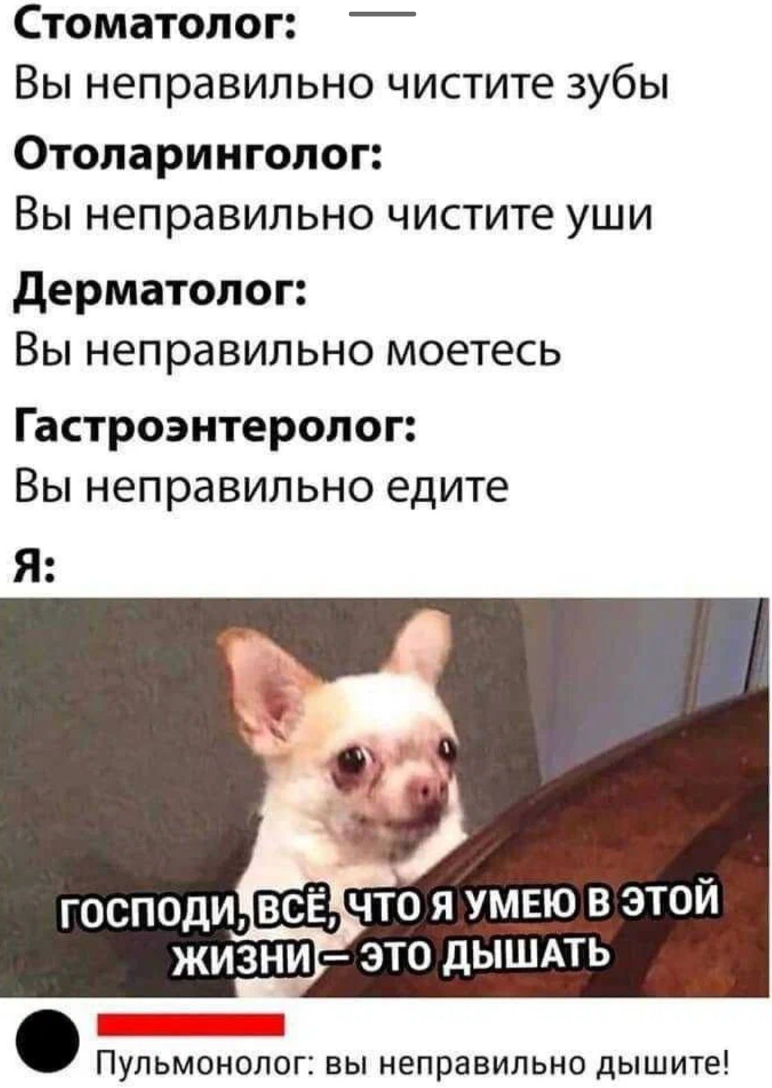 Стоматолог _ Вы неправильно чистите зубы Отоларинголог Вы неправильно чистите уши дерматолог Вы неправильно моетесь Гастроэнтеролог Вы неправильно едите ГОСПОДИ ЖИЗНИ ЭТО ДЫШАТЬ Пульмонолог вы неправильно дышите