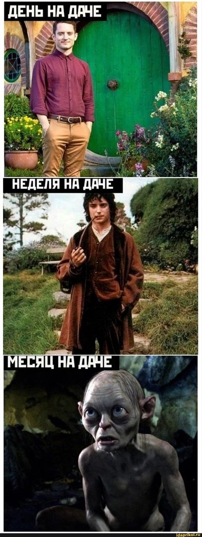 НЕДЕЛЯ нд ддчн г_