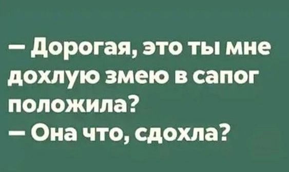 дорогая это ты мне дохлую змею в сапог положила Она что сдохла