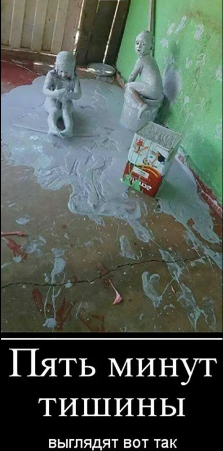 ТИШИНЬ1 ВЫГЛЯДЯТ ВОТ ТЗК