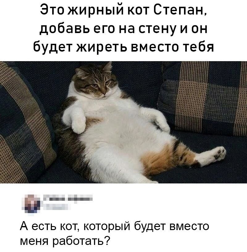 Это жирный кот Степан добавь его на стену и он будет жиреть вместо тебя А есть кот который будет вместо меня работать