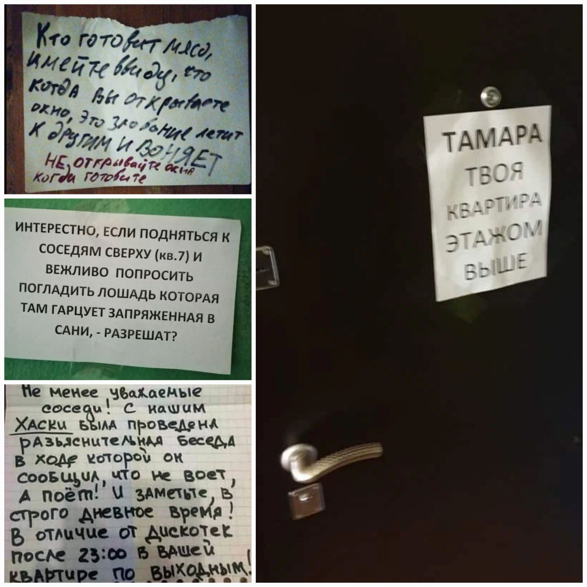 им идишым сшдям гы чи ніжшва пппюгиш патддпть дощь щощм им гдщуп зАпипжінмд дии шум м дщ Ч 3213 к Т вкщд ъ ш іж строго Амиши щи 5 отличия и Ансип поем в вши цинк в пгт