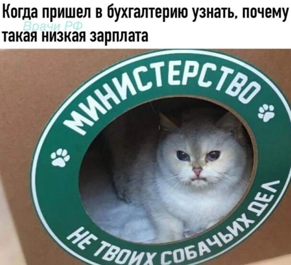 Когда пришел в бухгалтерию узнать почему такая низкая зарплата