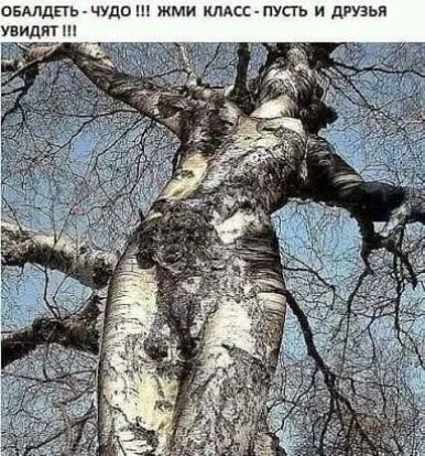 овмдггь чудо жми илдсс пусгь и друзья увидят