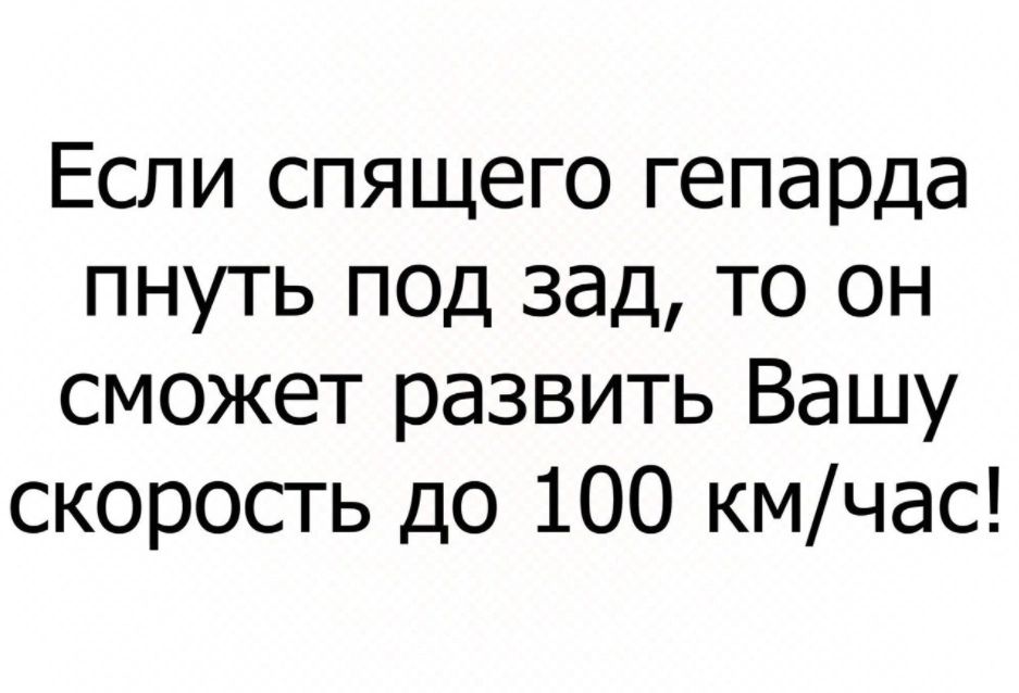Если спящего гепарда пнуть под зад то он сможет развить Вашу скорость до 100 кмчас