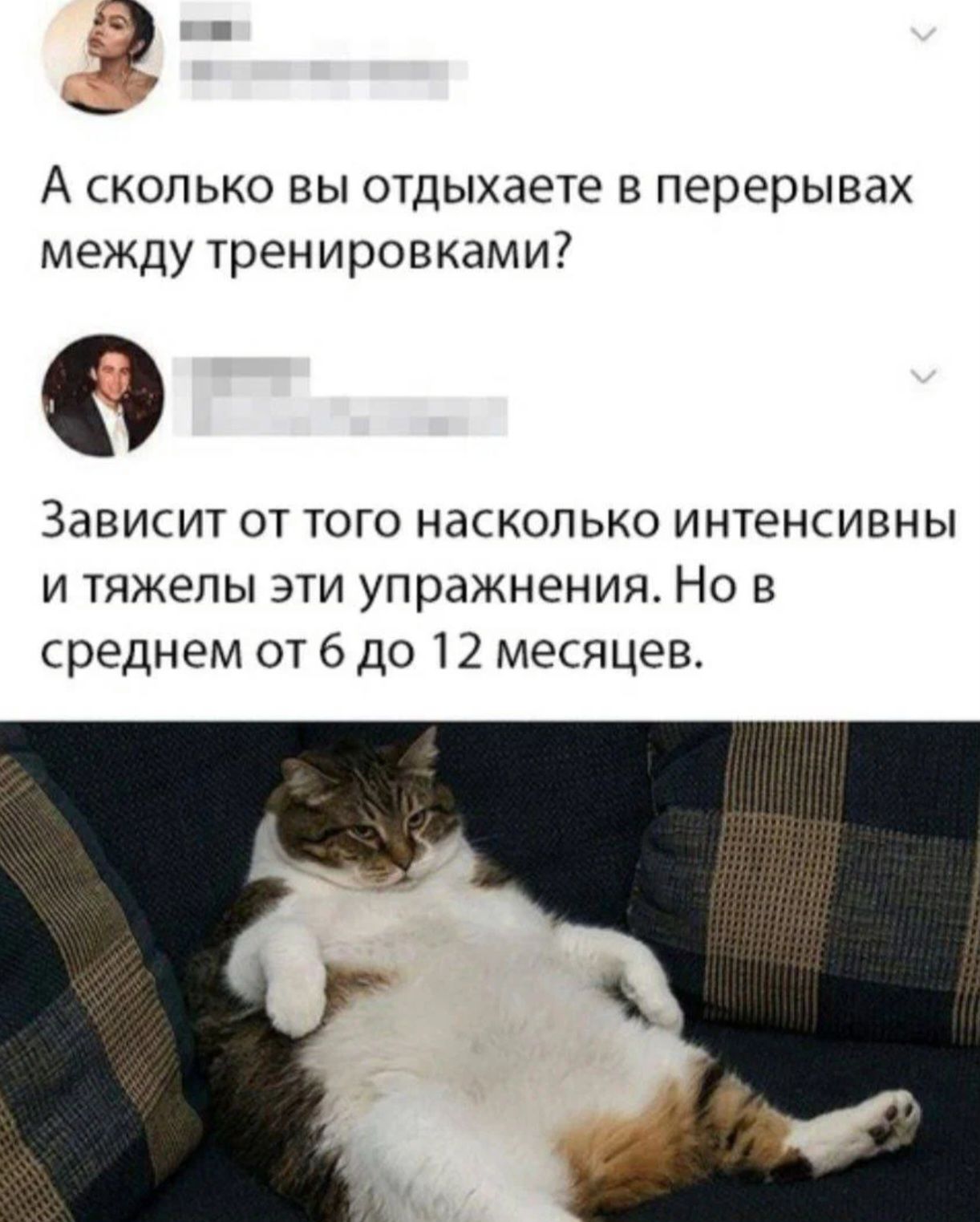 А сколько вы отдыхаете в перерывах между тренировками 0 Зависит от того насколько интенсивны и тяжелы эти упражнения Но в среднем от 6 до 12 месяцев