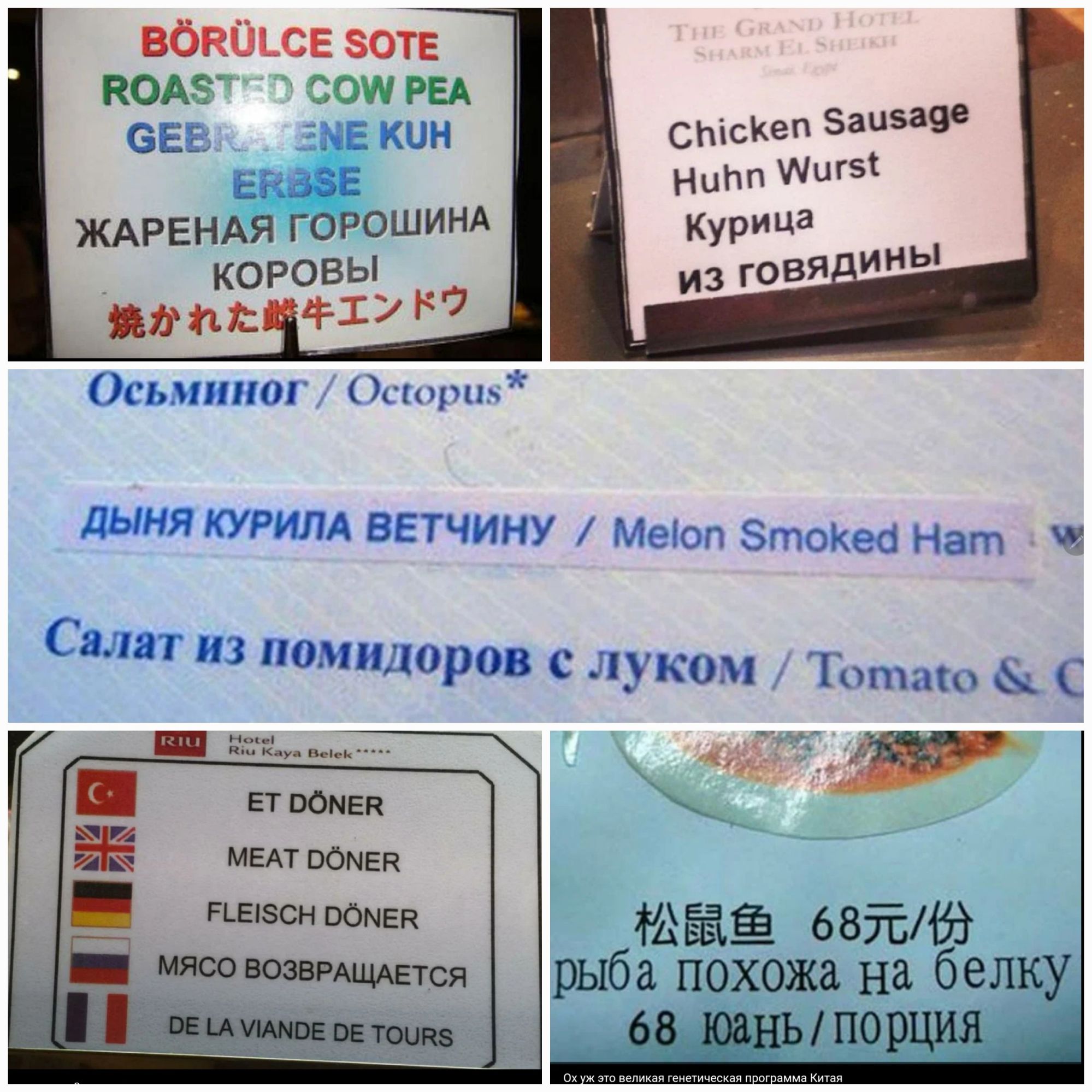 вбкйьсв ЭОТЕ поп сош РЕА вы уе ин скяп ап539 ь зе НН а ждрендя гоюшинд Купи коровы из гоня ь шт 17 сынтш им ЦЫНЯ КУРИПА ВЕТЧИНУ Меіоп ЭтоКеб Нат Спит из помидоров с луком Тоша иш помни навек шнек томов гимна 53 загс3 рыба похожа на белку ев пикапорция