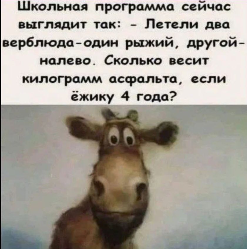 Школьная программа сейчас выглядит так Пеппи ппц ве рблюдп один рыжий другой палево Сколько весит килограмм дсфалъта если ёжику 4 года