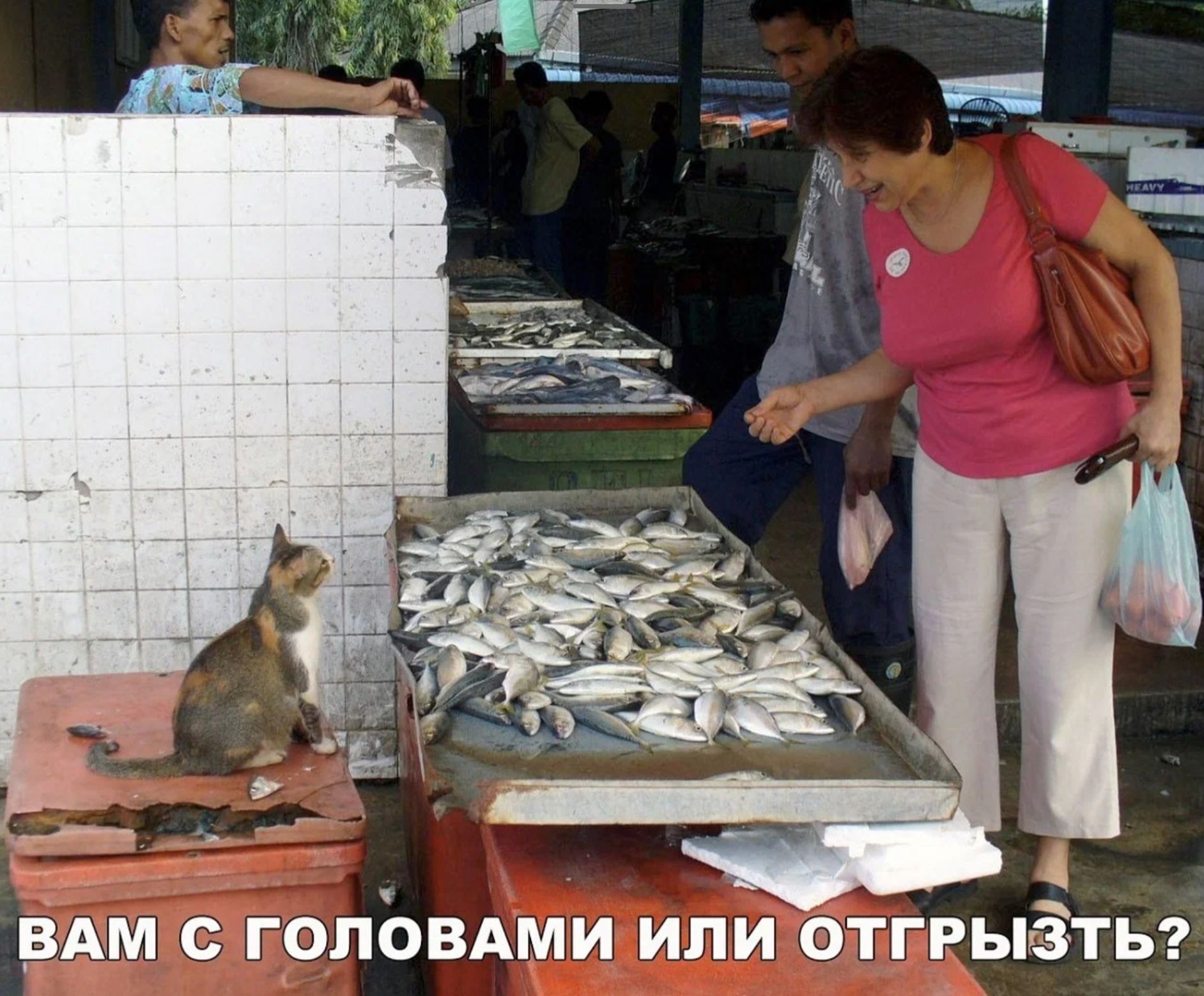 іц ВАМ ГОПОВАМИ ИЛИ ОТГРЬРЁТЬ