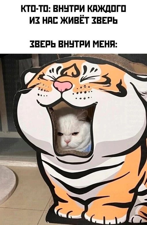 КТП ТП ВННТРИ КПЖДПГП И НПБ ЖИВЁТ ЗВЕРЬ ЗВЕРЬ ВННТРИ МЕНЯ