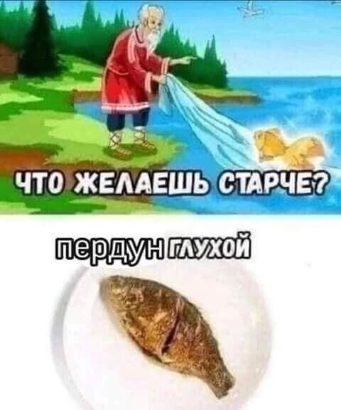 что жвмеь стдрчеэ