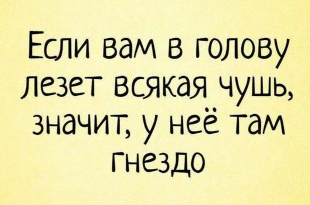Если вам в голову лезет всякая чушь значит у неё там гнездо