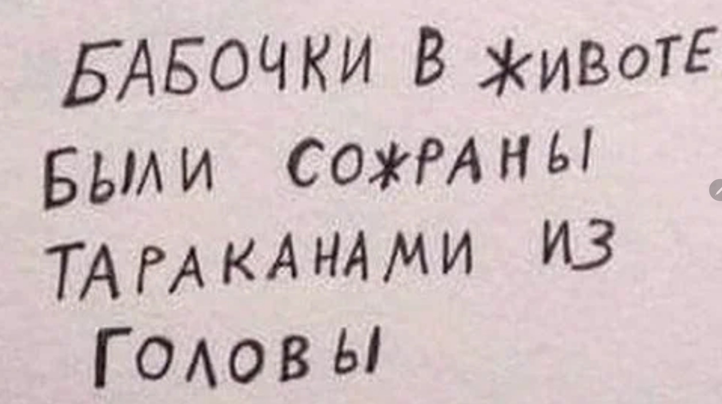 БАБОЧКИ В ивоТЕ Бьми Сожмны ТАГАКАНАМИ ИЗ ГОАОВЫ