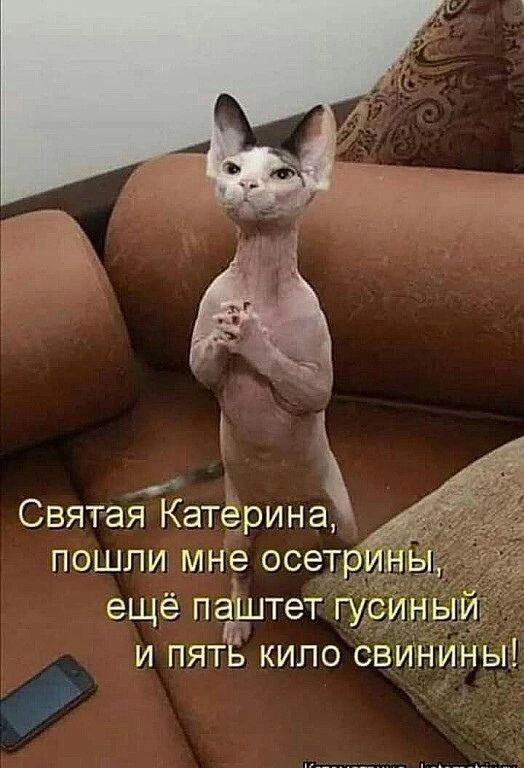 СвятаЯКатерина пошли мне осетр _ _ ещё паштет гусИный и пятЁ кило свинины
