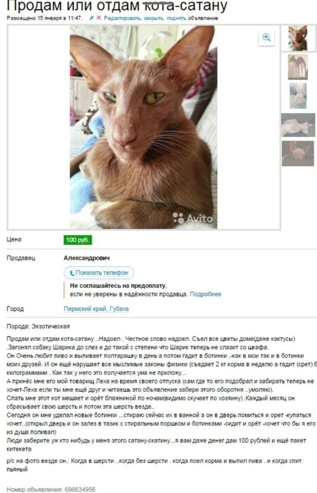 Продам ИПИ отдамт сатану Ипит _ ц ___ м к пншМп ммщмкмшспш гм п в а пшкшт и щ_м ши щмм ш н ме_пкь __пмк Аьымцммщь_щи_ мшнммкшм щт опмтмМ ншщитммиишик шшщ тыщщ ш щм тт ишы пинпМщ шгт шоап тмтьпш ш ш м иьу м щмипш не мм Кал шп Ю в и