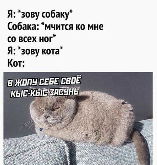 Я зову собаку Собака мчится ко мне со всех нет Я зову кота Кот В ЖППН СЕБЕ ЕВПЁ