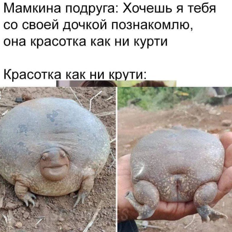 Мамкина подруга Хочешь я тебя со своей дочкой познакомлю она красотка как ни курти Красотка как ни к щи