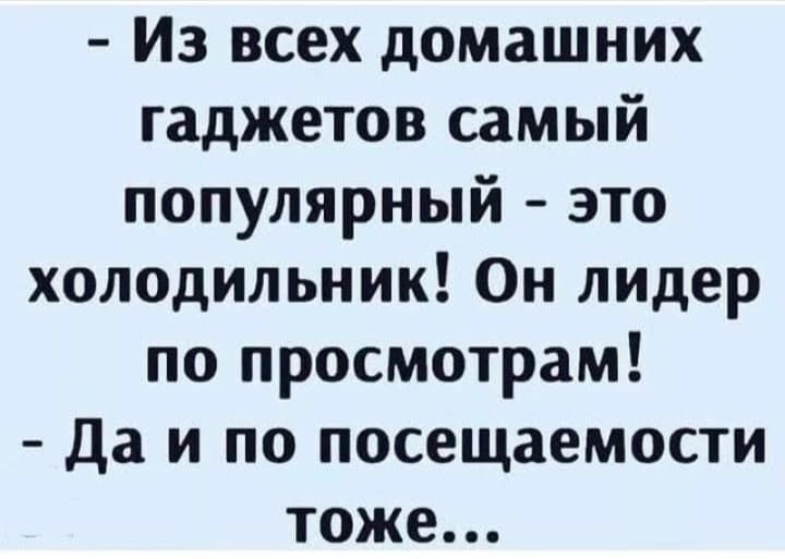 Из всех домашних гаджетов самый популярный это холодильник Он лидер по просмотрам да и по посещаемости тоже