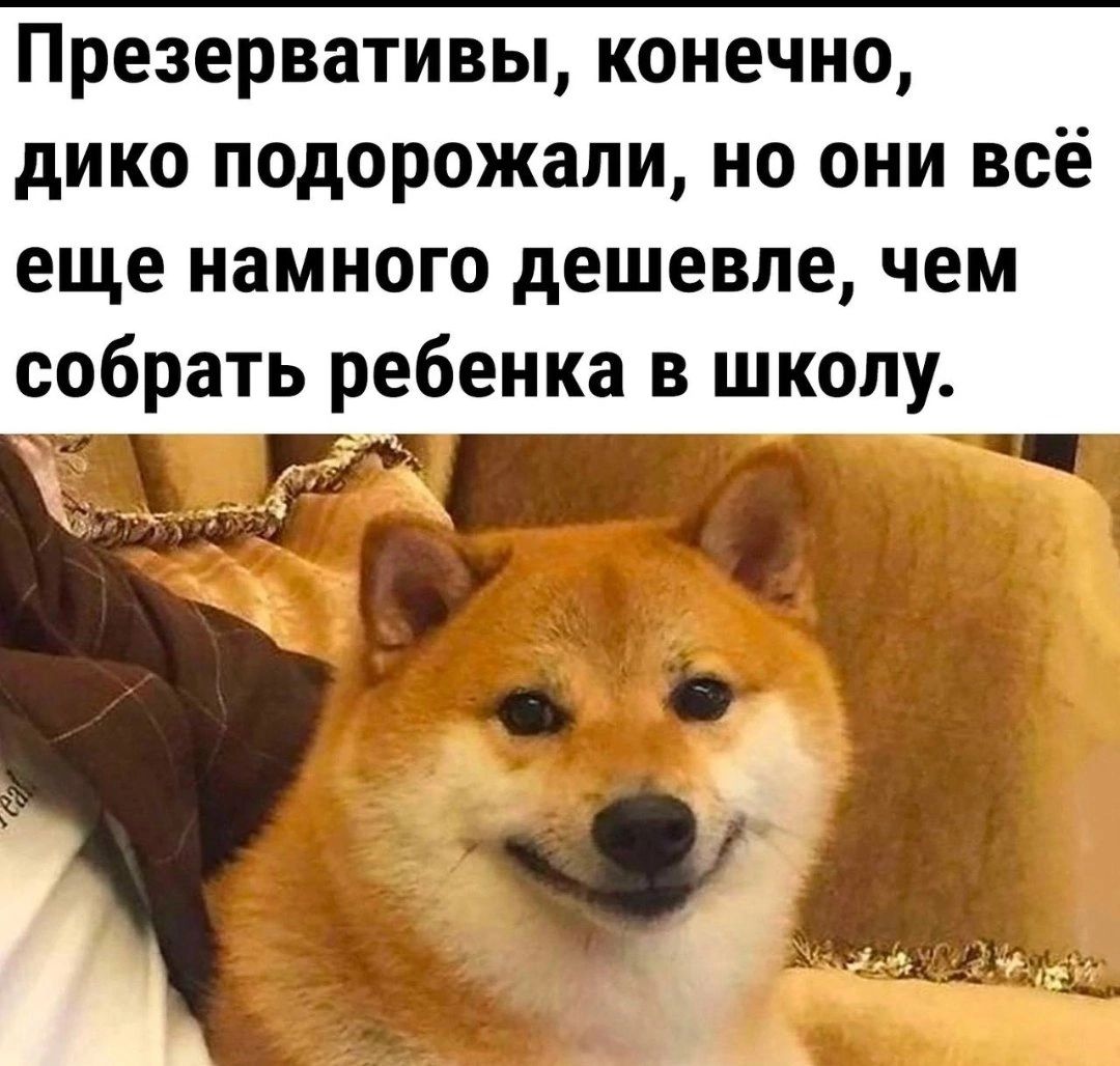 Презервативы конечно дико подорожали но они всё еще намного дешевле чем собрать ребенка в школу