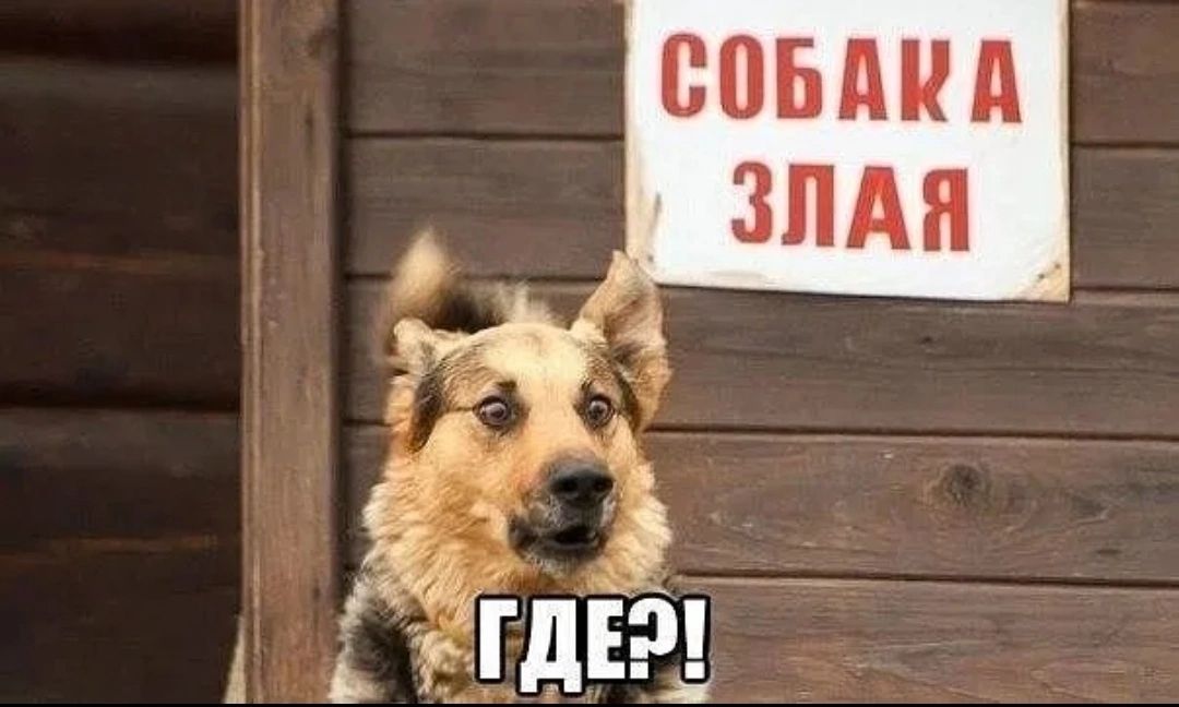 ЮБМШ ЗПАН