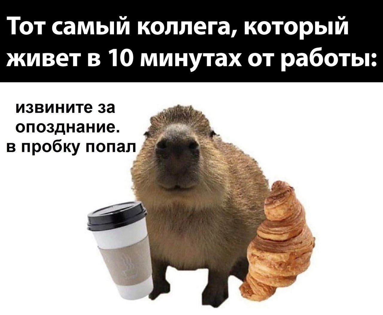 Тот самый коллега который живет в 10 минутах от работы извините за опозднание в пробку попал