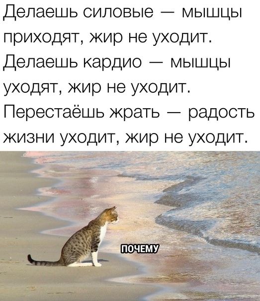 делаешь силовые мышцы приходят жир не уходит Делаешь кардио мышцы уходят жир не уходит Перестаёшь жрать радость жизни уходит жир не уходит непочкму ___1