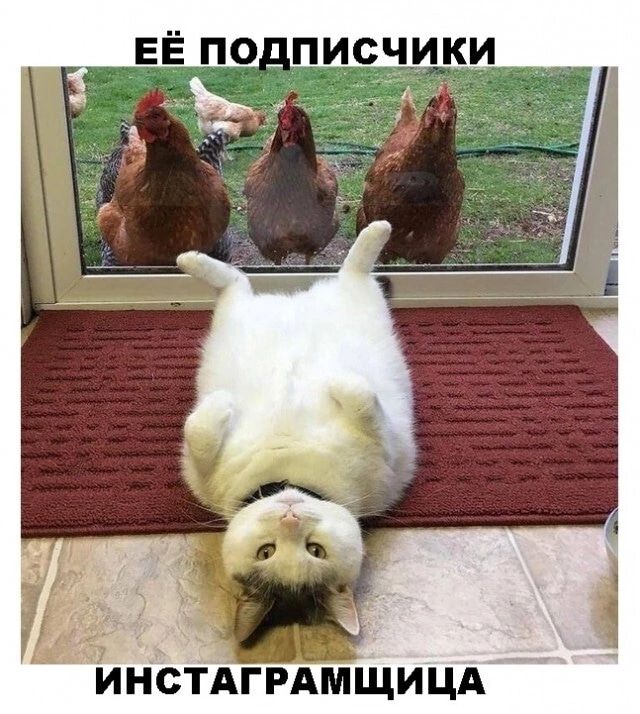 ЕЁ по_ писчики