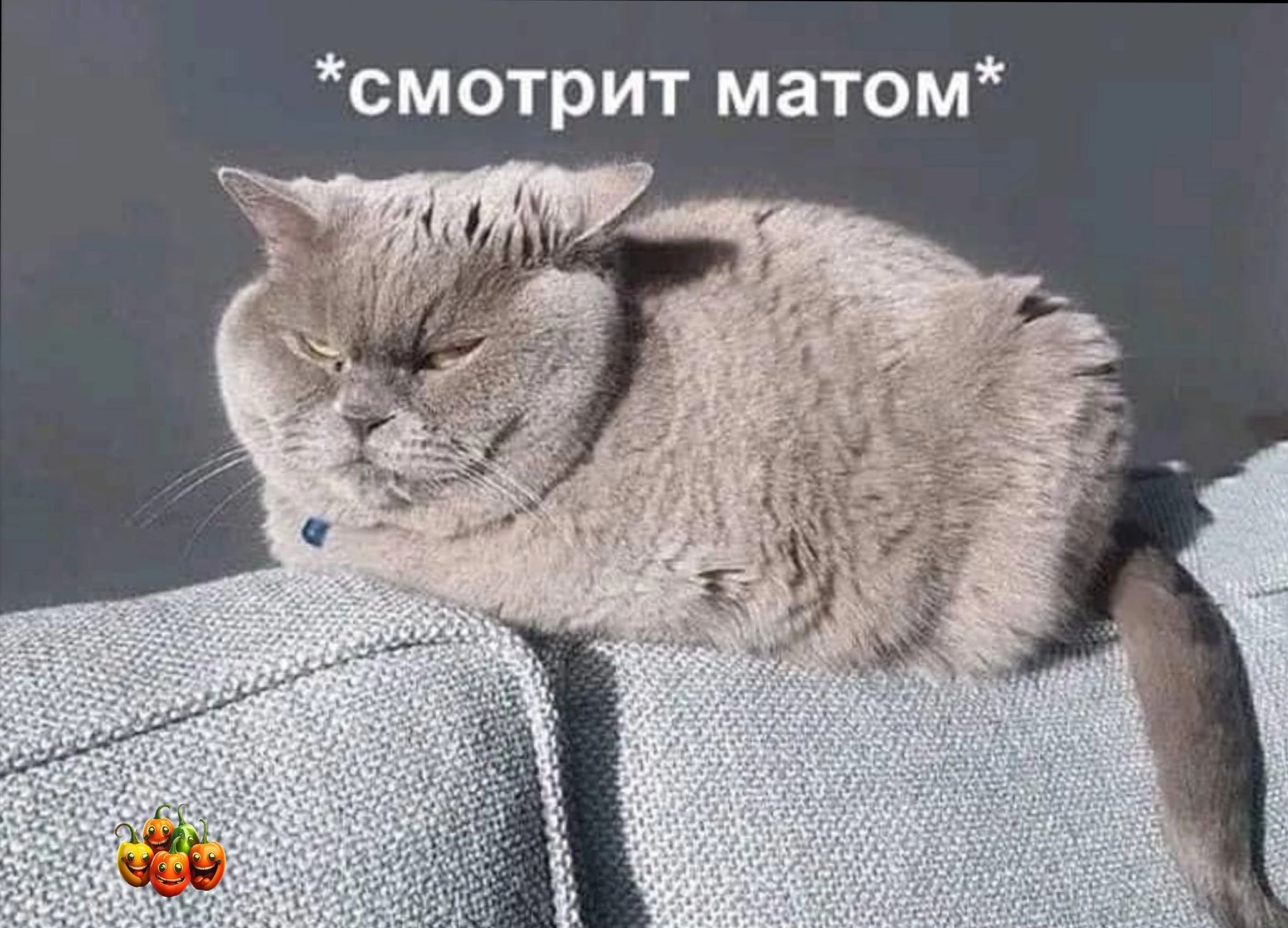 смотрит матом