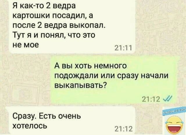 Я как то 2 ведра картошки посадил а после 2 ведра выкопал Тут я и понял что это не мое 21 А вы хоть немного подождали или сразу начали выкапывать 2112ч0 Сразу Есть очень хотелось 22