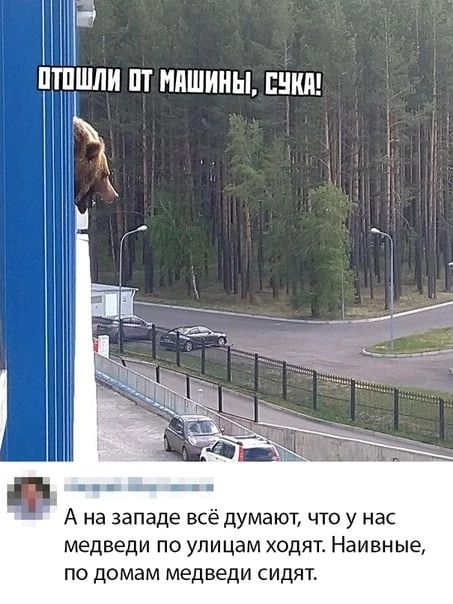 ПШШЛИ П МПШИНЫ ШИН _ А на западе всё думают что у нас медведи по улицам ходят Наивные по домам медведи сидят