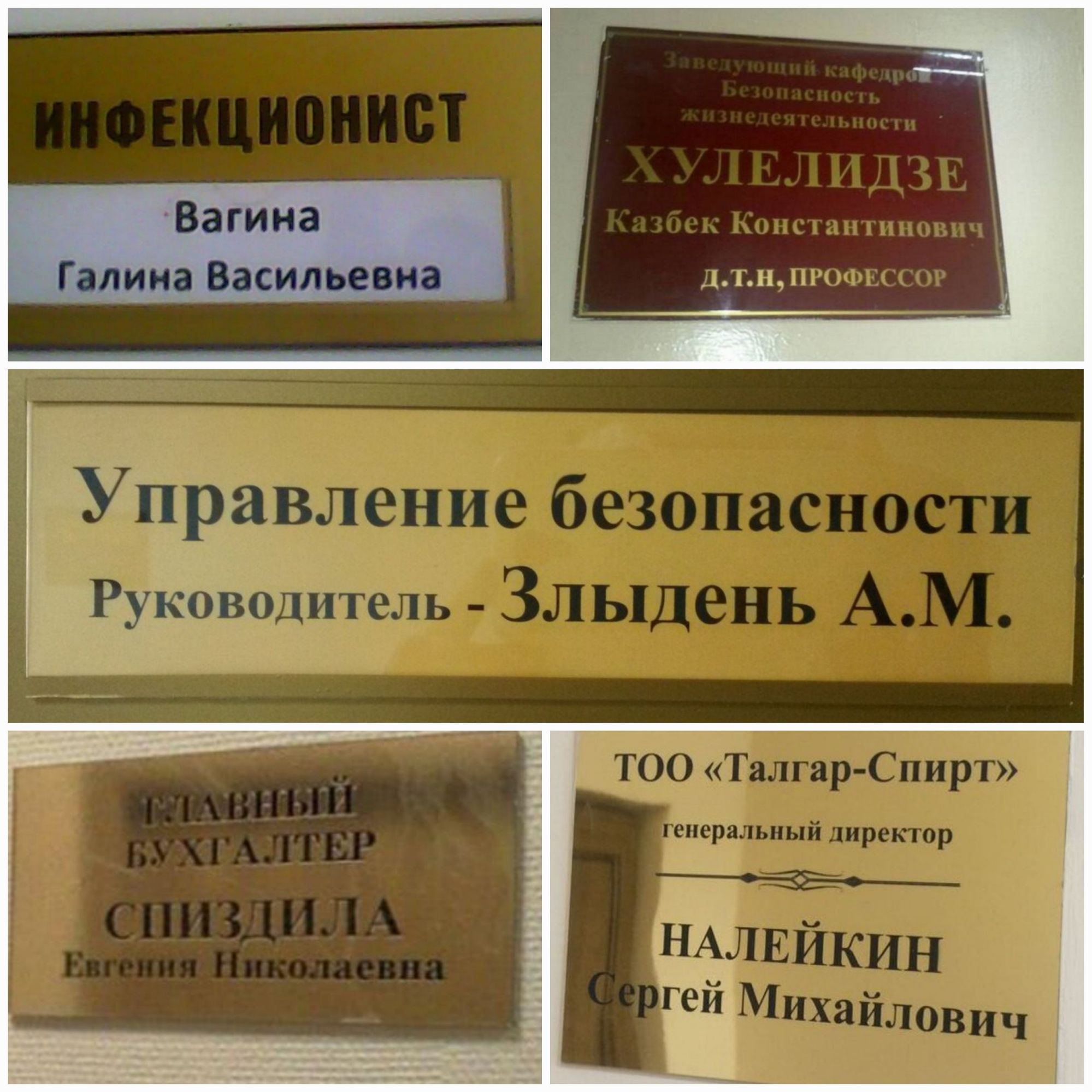 Вагина Гілииа Васильевка