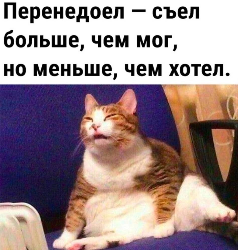Перенедоеп съел больше чем мог но меньше чем хотел