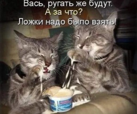 Вась ругать же будут А за что Ложки нас