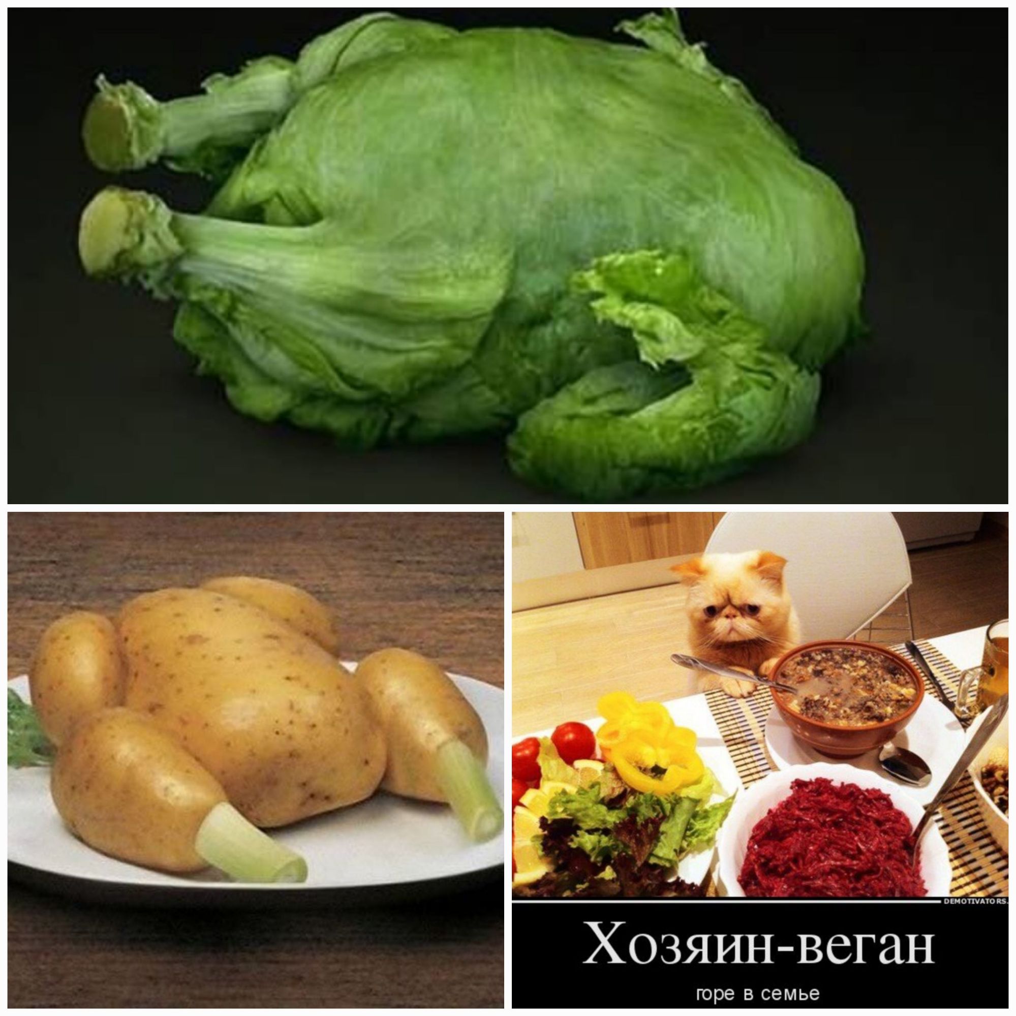 Хозяин веши