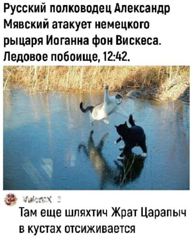 Русский полководец Александр Мявский атакует немецкого рыцаря Иоганна фон Висквса Ледовое побоище 12 42 1 ит _ Там еще шляхтич Жрат Царапыч В кустах ПТСИЖИВЗЕТСЯ