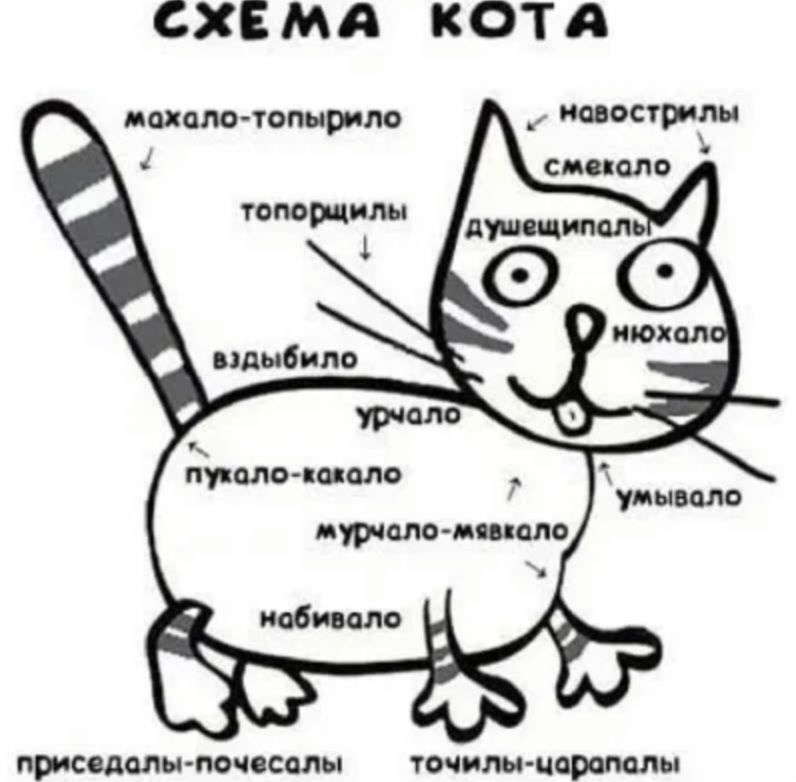 СХЕМА КОТА лохом чопырим _ твари смс мо шиммчосмы точит партиям