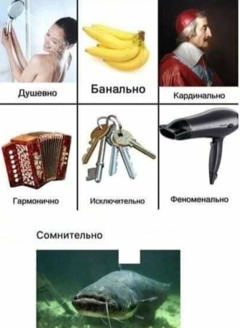 Ист шипит Сомничельио