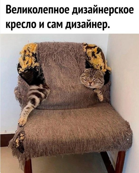 Великолепное дизайнерское кресло и сам дизайнер