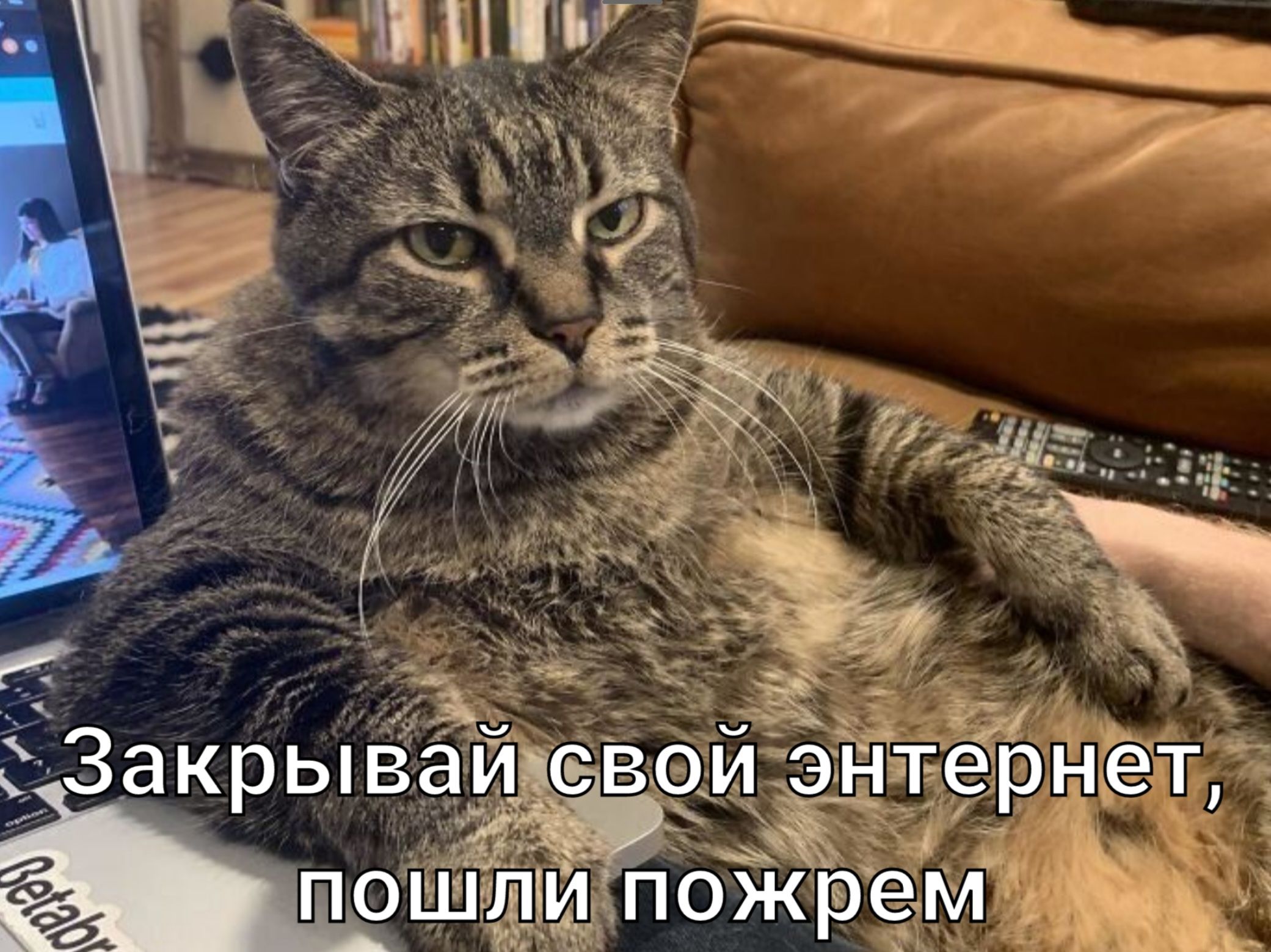 Закрыв ЗАНО