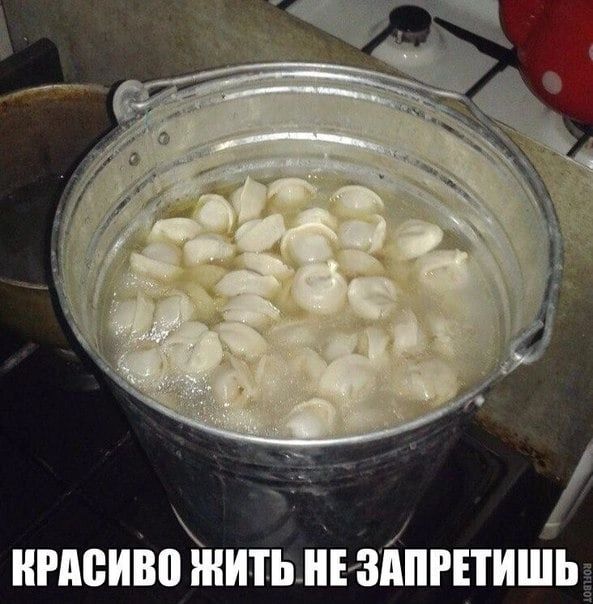 нтиво житьньзппгпишь