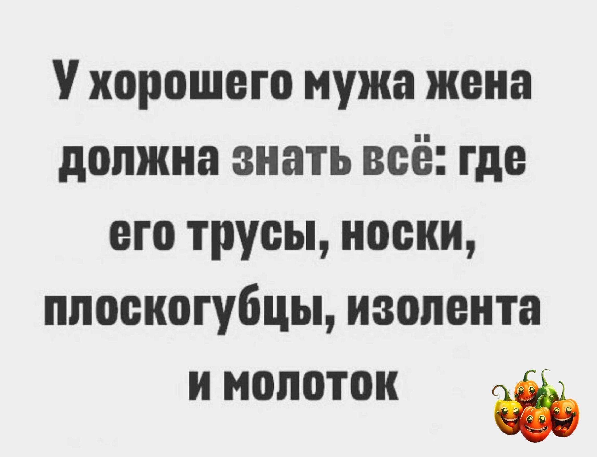 хорошего мужа жопа должна знать всё где его трусы носки плоскогубцы изолента И МОПОТОК