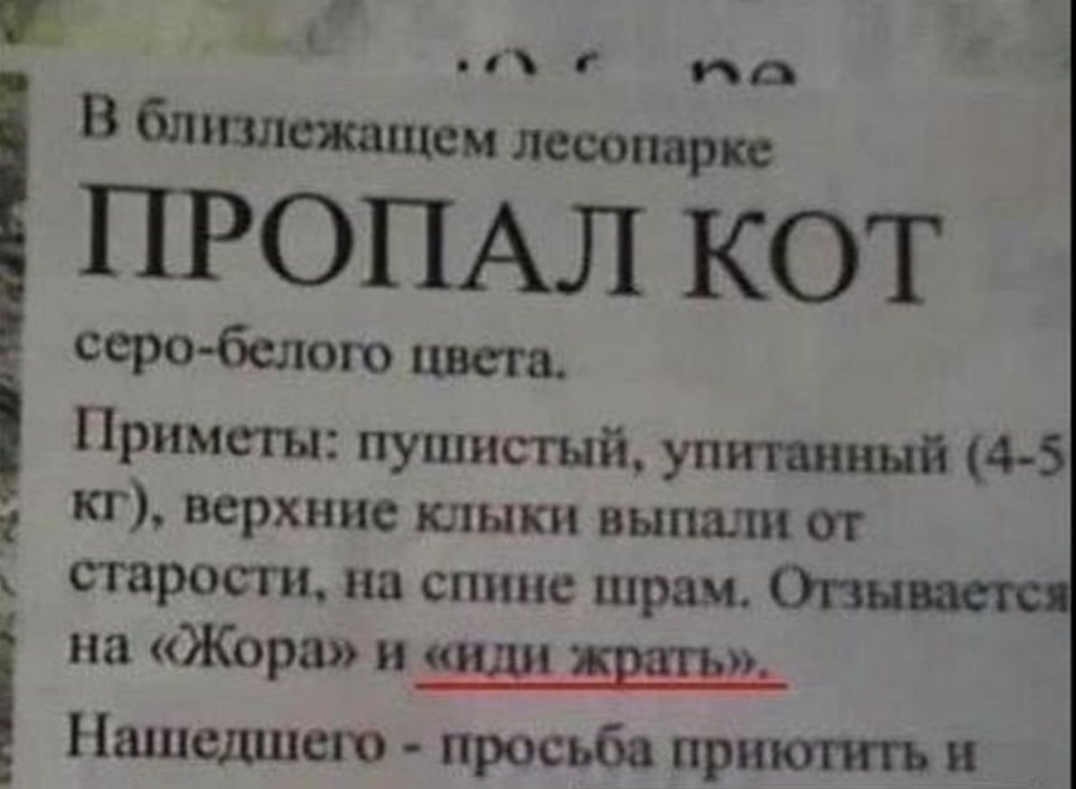г д В бтплтщсм лесопвркв ПРОПАЛ КОТ серобедою цвет Примегы пушистый упитанный 4 5 кг верхние клыки выпали от старост пп спиш шрам па Жсра и или Ншцсдшею просьба приютить п