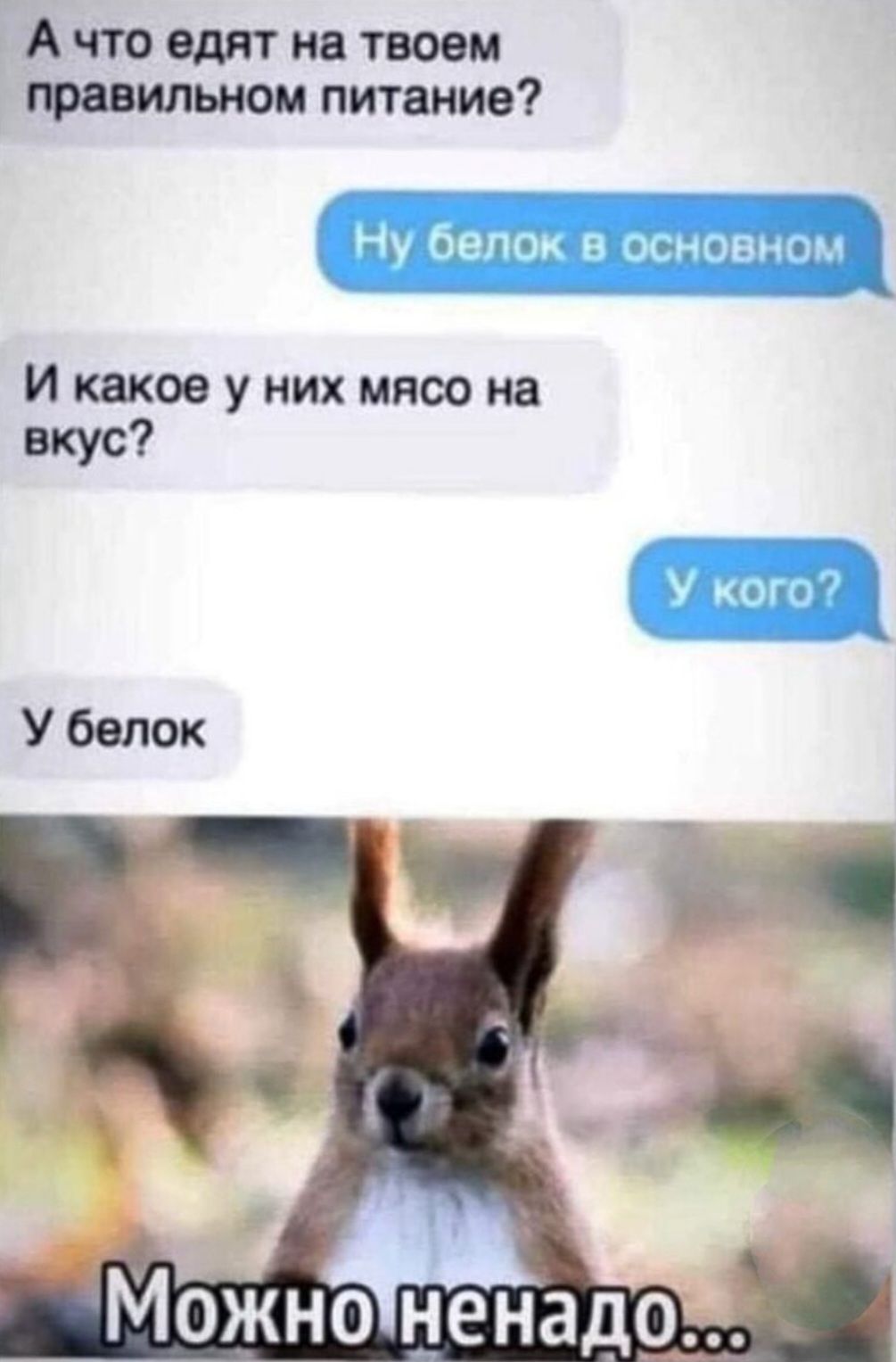А по едят на твоем травил питание Ну тепои и мной И какое у них мясо на вкус У белок