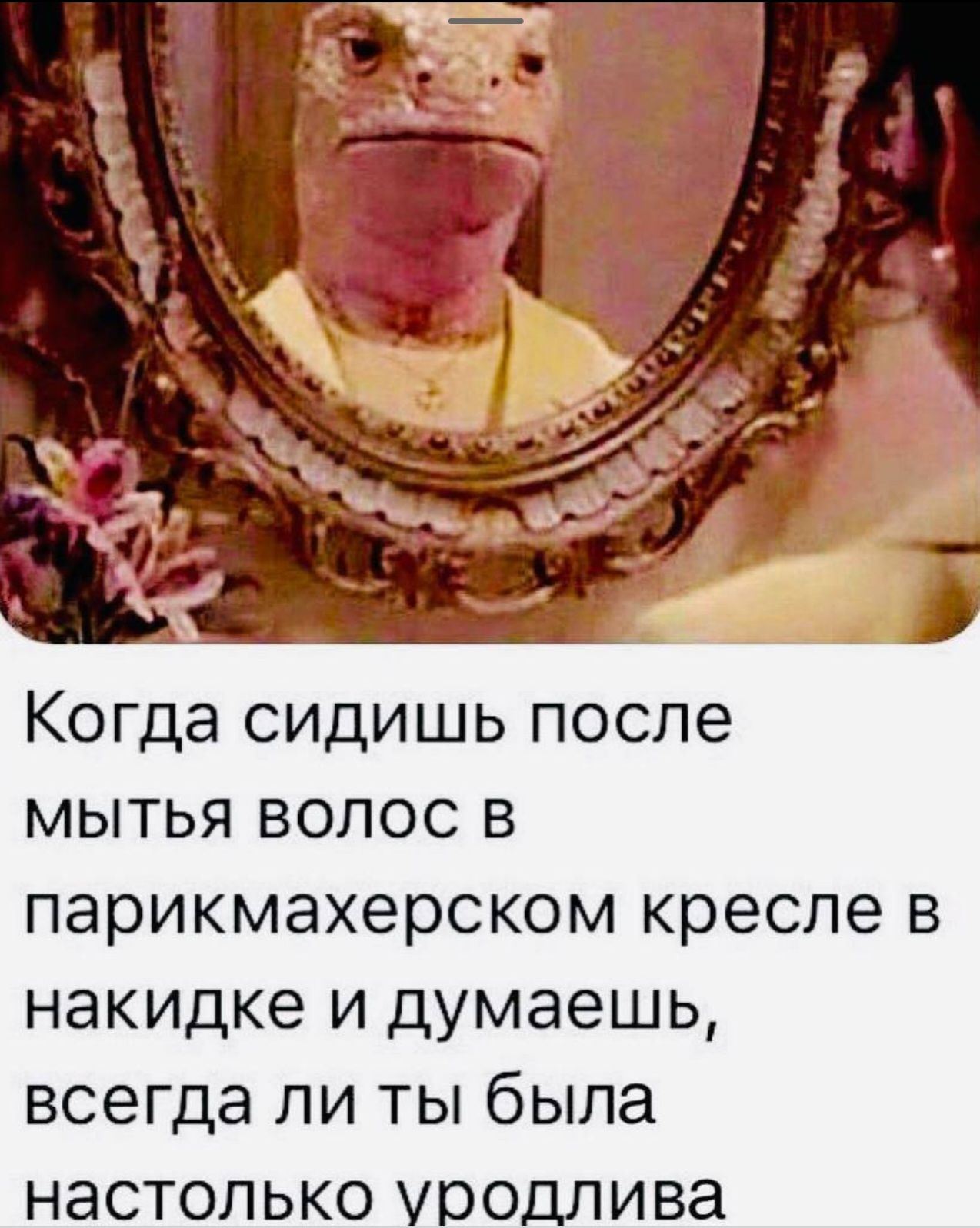 Когда сидишь после мытья волос в парикмахерском кресле в накидке и думаешь всегда ли ты была настолько уродлива
