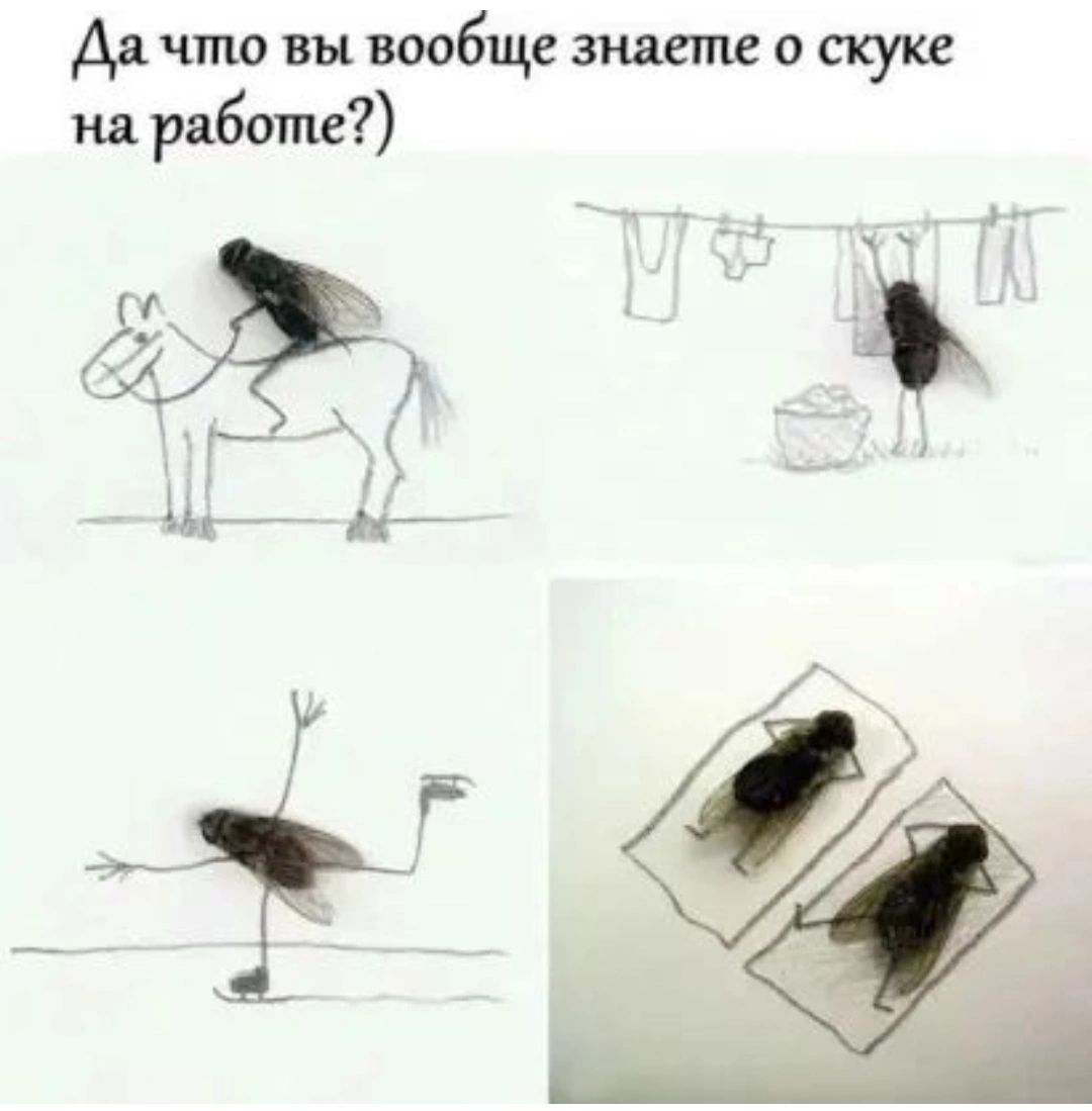 Да что вы вообще знаете о скуки на работе а п
