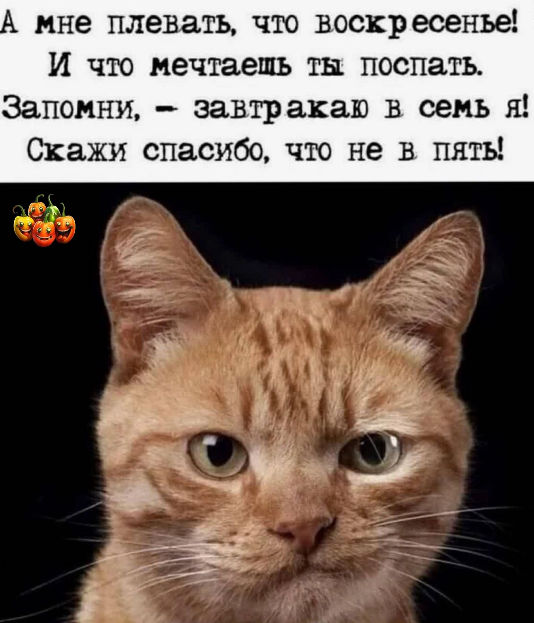 мне плевать чю воскресенье И что мечтаешь тн поспать Запомни эавтр акаю в семь я Скажи спасибо чш не в пять и 56 ды __ у