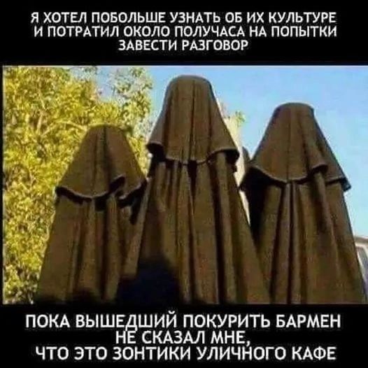Я ХОТЕЛ ПОБОЛЬШЕ УЗНАТЬ ОБ ИХ КУЛЬТУРЕ И ПОТРАТИЛ ОКОЛО ПОЛУЧАСА НА ПОПЫТКИ ЗАВЕСТИ РАЗГОВОР ч ПОКА выше ший покурить вдрмвн СКАЗАЛ мне что это зонтики уличного КАФЕ