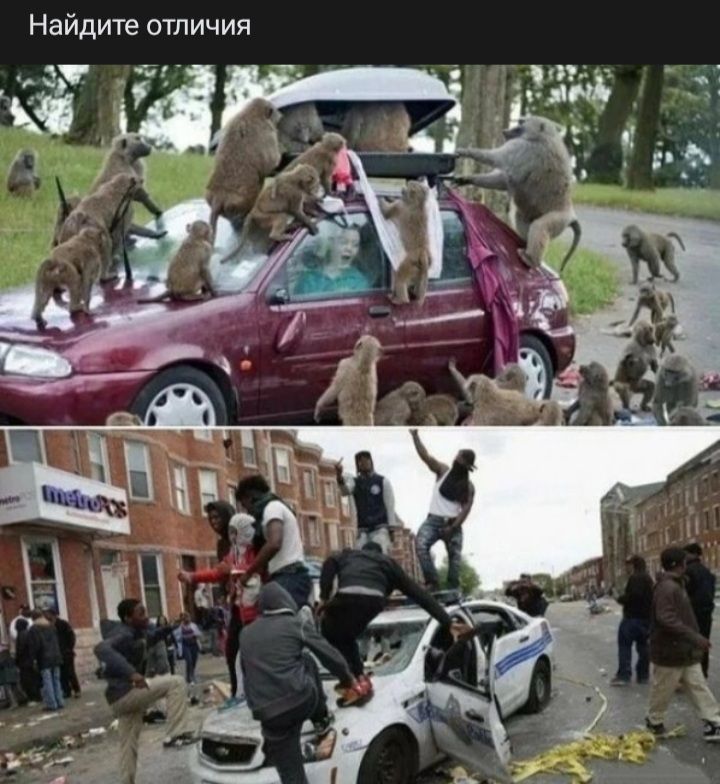 Найдите отличия